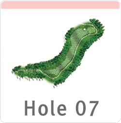 7코스