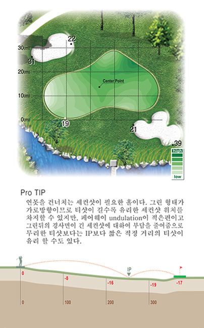 9홀 green 및 proTip